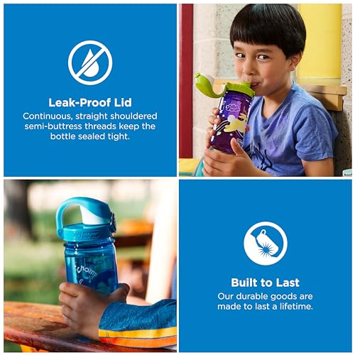 Nalgene Kids' 12 oz On The Fly Lock-Top Water Bottle, Blue Owl - color: Blue Owl, size: 12 Ounces