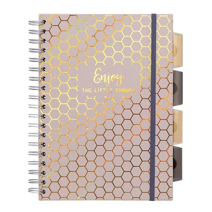 Pukka Pad Haze B5 Notebook – Pack of 3 Wirebound Notebooks with 5 Repositionable Dividers with Storage Pockets and Tabs for Organisation and Personalisation – 200 Pages, 100 Sheets of 80GSM Paper - color: Haze