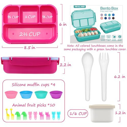 QQKO Bento Box for Kids Adults, School Toddler Lunch Box for Boys Girls, Lunch Box Containers with 4 Compartments, Sauce Container, Utensils, Food Picks and Muffin Cups for School, Pink Blue - color: Pink Blue
