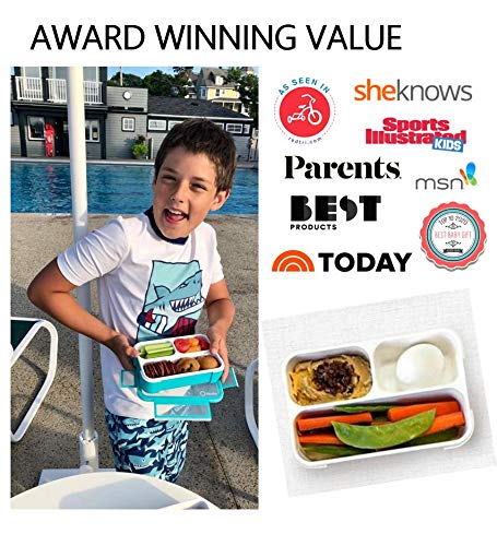 Small Snack Containers for Kids Toddlers - 3 Compartments (Set of 2) - Leak-Proof Boxes with Lids - BPA-Free Plastic Mini Bento Lunch Box - Ideal for School, Daycare, Holds 2 Cups (Purple + Blue) - color: Purple Blue MINI 2pk