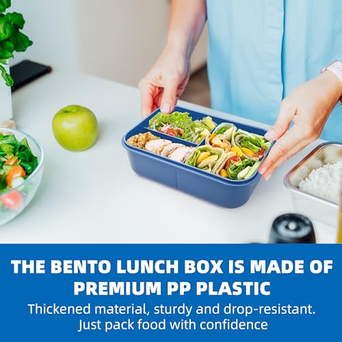Fanhaw 40 Oz/5 Cup Bento Box for Kids, Men and Women, Lunch Box with 3 Compartments, Utensil, Microwave & Dishwasher Safe (Orange) - color: Orange