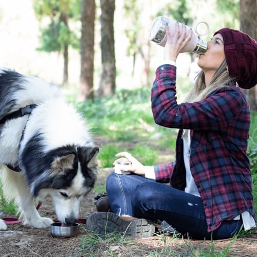 asobu Buddy Bottle, a Stainless Steel Insulated Water Bottle with Removable Dog Water Bowl and Dog Food and Treat Storage (Pink, 37 Oz) - color: Pink
