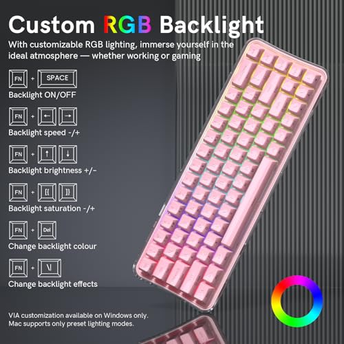 Womier Q61 PRO Wireless Keyboard with RGB Backlighting, 60% Mechanical Gaming Keyboard, Hot-Swappable Creamy Keyboard for PC, BT 5.0/2.4GHz/USB C, ASA Profile, Side-Engraved PC+ABS Keycaps - Pink - color: Pink