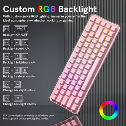 Womier Q61 PRO Wireless Keyboard with RGB Backlighting, 60% Mechanical Gaming Keyboard, Hot-Swappable Creamy Keyboard for PC, BT 5.0/2.4GHz/USB C, ASA Profile, Side-Engraved PC+ABS Keycaps - Pink - color: Pink