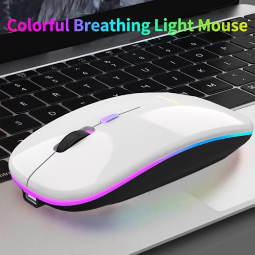 Wireless Bluetooth Mouse for Laptop, Rechargeable Mouse 2.4G USB Optical Wireless Mouse, LED Slim Dual Mode(Bluetooth 5.0 and 2.4G) Wireless for Laptop, PC, Mac OS, Android, Windows(Silver) - color: Silver