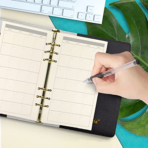 A6 Planner Refill,Month Tracker Spiral Notebook Refill,for 6 Holes Filofax/Personal Journal45sheets/90pages, 100Gsm Quality,Harphia (A6 3.74 x 6.77'',Monthly) - color: Monthly Plan, size: A6