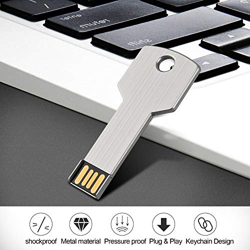 RAOYI 10 Pack 2GB USB Flash Drive USB 2.0 Metal Key Shape Memory Stick Thumb Drive Pen Drive-Silver - color: Silver, size: 2GB