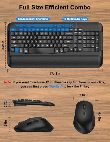 Wireless Keyboard and Mouse Combo, EDJO 2.4G Full-Sized Ergonomic Computer Keyboard with Wrist Rest and 3 Level DPI Adjustable Wireless Mouse for Windows, Mac OS Desktop/Laptop/PC, Carbon Black - color: Carbon Black
