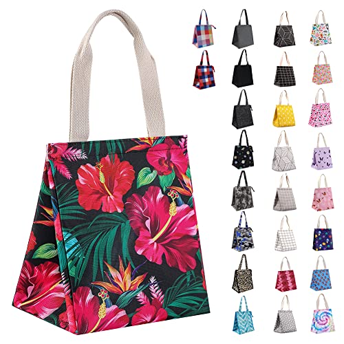 iknoe 9L Insulated Lunch Bag, Leakproof lunch Tote for Men&Women Botanic | Lightweight 0.3 lb, compact foldable design, aluminum foil interior, velcro closure, wide opening, for meals, snacks, office - color: botanic, size: Velcro Closure