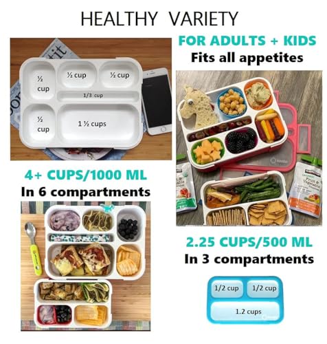 Bento Box Lunch Boxes and Snack Containers for Kids Girls Boys Adults Toddlers, Leak-Resistant Portion Container Kits BPA Free | Value Pack Set of 4, Blue & Pink - color: Blue + Pink Large + MINI 4 Pack