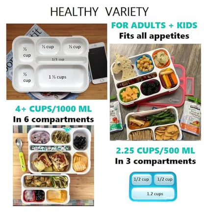 Bento Box Lunch Boxes and Snack Containers for Kids Girls Boys Adults Toddlers, Leak-Resistant Portion Container Kits BPA Free | Value Pack Set of 4, Blue & Pink - color: Blue + Pink Large + MINI 4 Pack