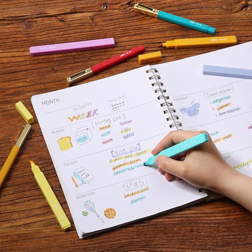 Mr. Pen- Aesthetic Highlighters and Ballpoint Pens No Bleed, 12 Pack | Summer Delight, Bible Highlighters and Pens No Bleed, Fast Dry and No Smear for Bible Journaling, Planner, School Supplies - color: Summer Delight, size: 12 Pack