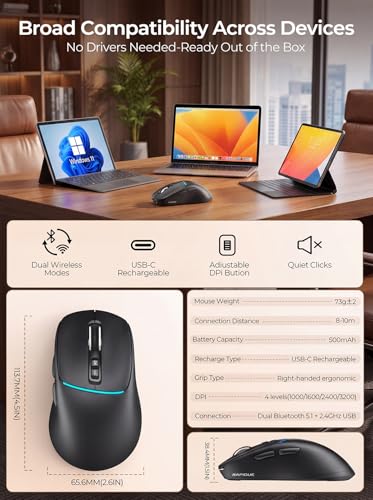 RAPIQUE Bluetooth Wireless Mouse, Dual Bluetooth + 2.4G, Connect Up to 3 Devices, USB-C Rechargeable, Quiet Click, 4 DPI Levels up to 3200, Ergonomic Right-Hand Design for PC, MacBook, Laptop - Black - color: Black