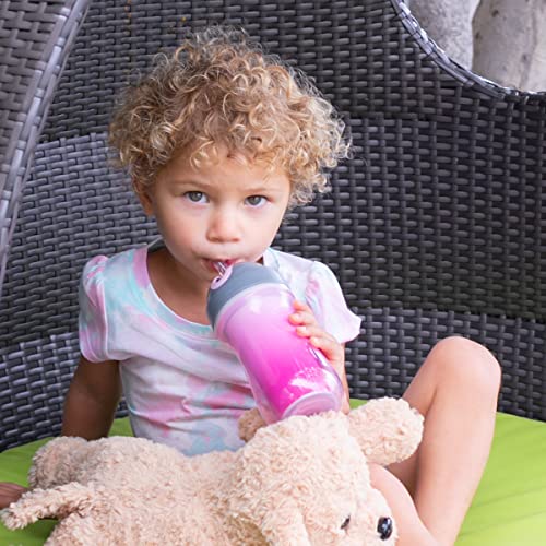 Chicco Insulated Straw Sippy Cup 12+ Months, 9oz Toddler Training Cup with Spill-Free Flip-Top Lid, BPA-Free, Dream Pink/Purple, 2 Count (Pack of 3) - color: Dream Pink/Purple, size: 9 Ounces (Pack of 3)