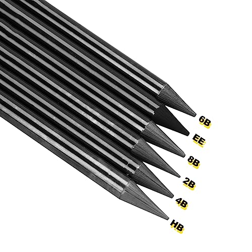 SIQITECHNO 6Pcs Woodless Graphite Pencils HB 2B 4B 6B 8B EE Drawing Sketching Pencils for Shading Blending Sketching Black Charcoal Pencils Drawing Pencils Art Supplies Set for Artists