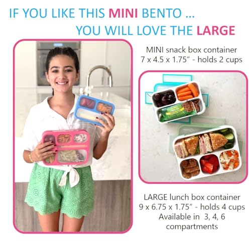 kinsho Small Snack Box Containers for Kids Toddlers, Pink Blue, Set of 2 | 3 Compartments, Leak-Proof, Spill Proof, BPA-Free Reusable Mini Bento Lunch Box for Girl & Boy Daycare School, Holds 2 Cups - color: Blue + Pink Small 2pk