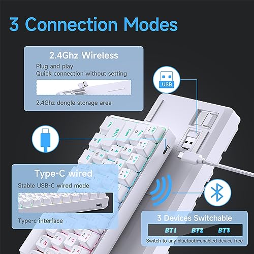 DIERYA DK63 60% Wireless Mechanical Gaming Keyboard | Bluetooth/2.4G/Wired Keyboard | RGB Backlit Compact 63 Keys Mini Office Keyboard | with Red Switch | for Windows Laptop PC Gamer Typist-White - style: White/Red Switches