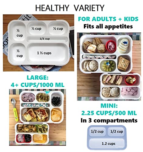 kinsho Bento Box Lunch Boxes and Snack Containers, Value Pack for Kids Girls Boys | Leakproof Portion Boxes for School Pre-School Toddler Daycare Travel, BPA Free | Set of 4, Pink Purple - color: Pink Purple Large + MINI 4 Pack