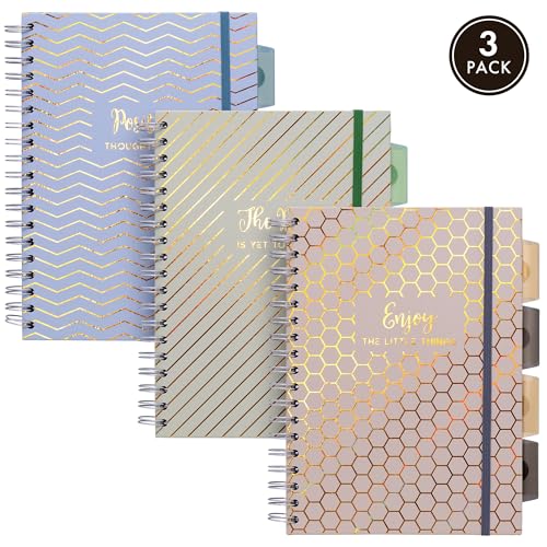 Pukka Pad Haze B5 Notebook – Pack of 3 Wirebound Notebooks with 5 Repositionable Dividers with Storage Pockets and Tabs for Organisation and Personalisation – 200 Pages, 100 Sheets of 80GSM Paper - color: Haze