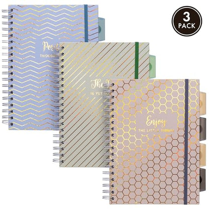Pukka Pad Haze B5 Notebook – Pack of 3 Wirebound Notebooks with 5 Repositionable Dividers with Storage Pockets and Tabs for Organisation and Personalisation – 200 Pages, 100 Sheets of 80GSM Paper - color: Haze