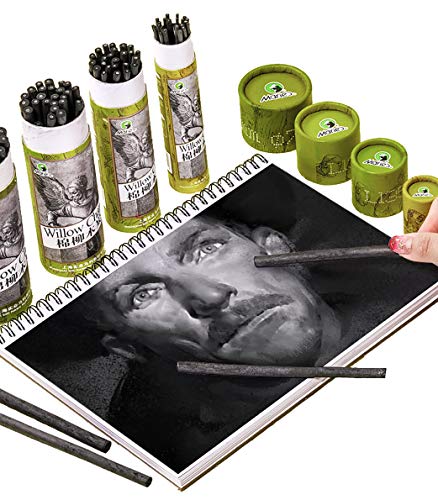 YYMIYU Drawing Pencils Set, Art Sketching Pencils Charcoal Set (Charcoal Sticks 2-4 mm 25pcs 25) - style: Charcoal Sticks 2-4 mm 25pcs 25