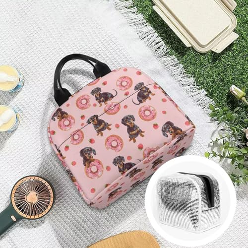 Cute Dachshund Kids Lunch Box Large Capacity Insulated Lunch Bag Portable Handle Thermal Picnic Cool Bags Multifunctional for School Picnic Travel Hiking Camping - color: Cute Dachshund