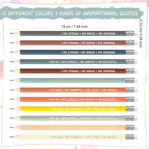 Fumete 240 Pcs Inspirational Pencils Bulk for Student Back to School Gifts from Teacher Motivational Pre Sharpened #2 HB Pencils with Eraser Positive Classroom Must Have Supplies for Kids (Dark)