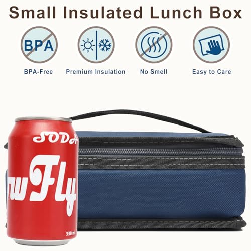 FlowFly Small Insulated Lunch box Portable Soft Bag Mini Cooler Thermal Meal Tote Kit with Handle for Work & School, Cyan - color: Cyan