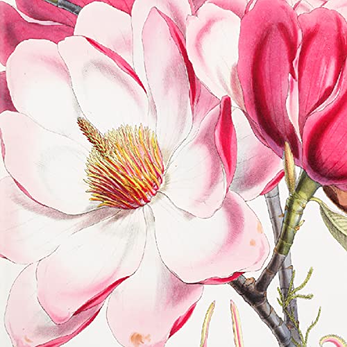 RICCO BELLO Lined Journal Notebook, Pink Magnolia, 5.7 x 8.4-Inches | Hardcover, College Ruled, 96 Sheets / 192 Pages, Pen Holder, For Work & Notes - color: Pink Magnolia