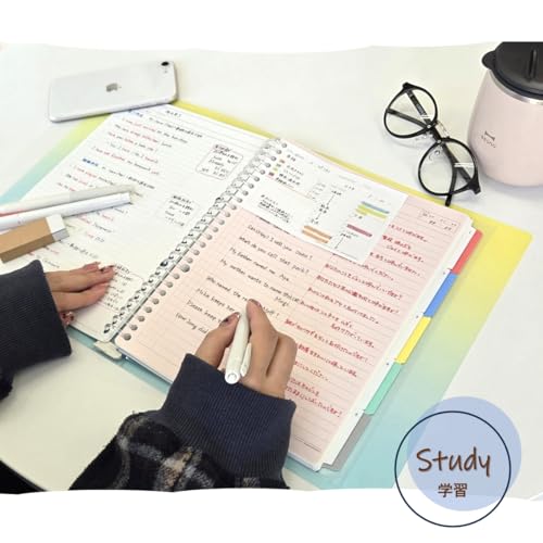 Maruman F310A-52A Loose Leaf Binder Session B5, 26 Holes, Sora IRO - color: Blue (Light), size: B5