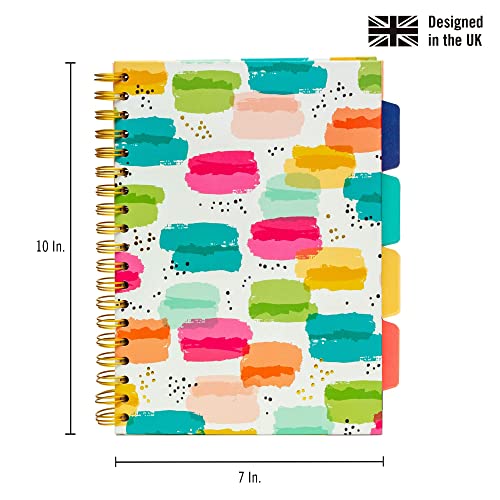 Pukka Pad, Carpe Diem 5-Subject Double Spiral Bound Notebook 3-Pack with Repositionable Dividers - 200 Pages of 80GSM Paper with Perforated Edges – Color Wash, B5 10 X 7in - color: Color Wash, style: Pack of 3