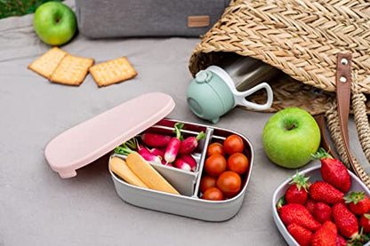 Beaba Stainless Steel Lunch Box, Kids Lunch Box with Silicone Lid, Bento Style Food Containers, Removable Silicone Dividers Make 1-3 Compartments, Rose - color: Rose