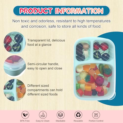 Honeydak 5 Pack Snack Containers 3 Compartment Bento Snack Boxes Divided Meal Prep Containers with Lids Reusable Adults Lunch Food Storage Box for School Work Travel (Red Blue Green) - color: Red Blue Green