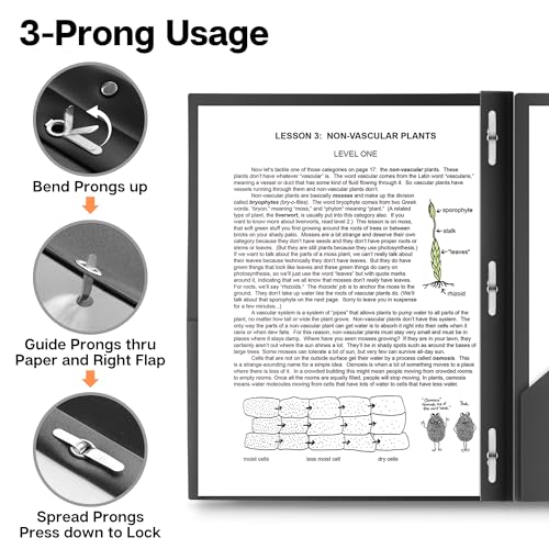 Dunwell Plastic Folders with 3 Prongs, (2 Pack, Black), 2-Pocket Folders with Fasteners, Durable Acid-Free Poly for Long Term Use, Includes Labels - color: Black, size: 2 Pack