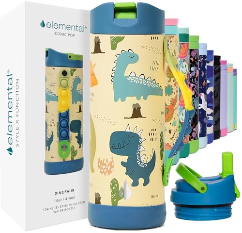 Elemental Iconic Kids Water Bottle for School - 100% Leak-Proof Insulated Water Bottles with Straw Lid & Pop-It Handle for Boys & Girls - Triple-Wall Insulated & BPA-Free, 14oz – Dinosaur - color: Dinosaur, size: 14 Ounces