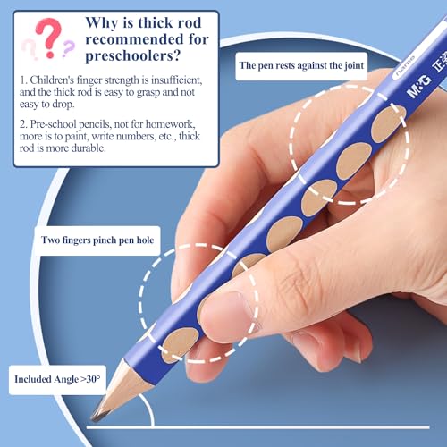 M&G 12 Pcs Triangular Hole Pencils for Kids, Triangular Pole with Grip Correction 2B Pencils, Graphite Wood Pencils with Smooth Writing for School, Office, Painting, Sketching, Weddings, Party - style: 12pcs Blue 2B