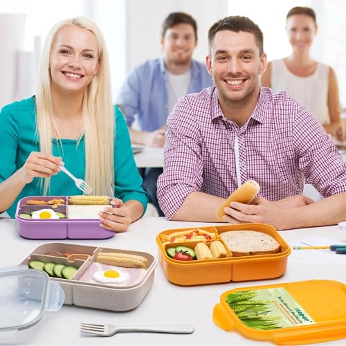Itopor Bento Box for Kids & Adults, Lunch Box 46 oz, Dusty Pink | Wheat straw material, BPA-free, leakproof, 3 compartments, microwave & dishwasher safe, for school, office & travel - color: Dusty Pink