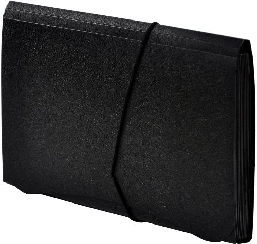 Lion 13-Pocket Small Ex panding File, 5-3/4 x 8-1/2 Inches, Black, 1 File (94300-BK)