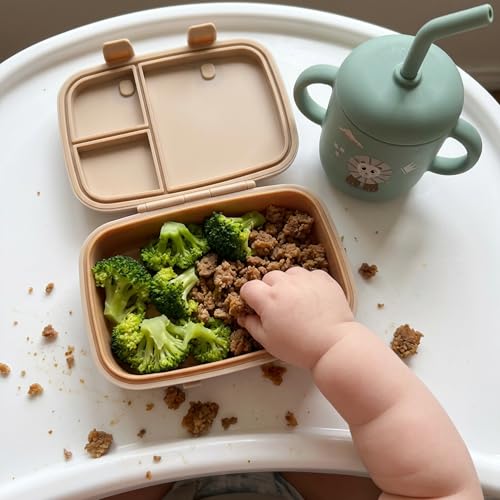 Kids Bento Explorer Lunch Box, 3 No-Mix Compartments, Microwave & Dishwasher Safe, Lightweight with Removable Tray, for Daycare, Preschool, School (Dark Brown Toffee) - color: Dark Brown Toffee