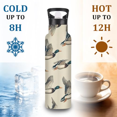 Mallard Duck 20 oz Insulated Water Bottles Wild Bird Stainless Steel Thermal Bottle Leak Resistant with Straw Twist Cap and Handle for Sports Coffee Mug Cup - color: Mallard Duck,Wild Bird