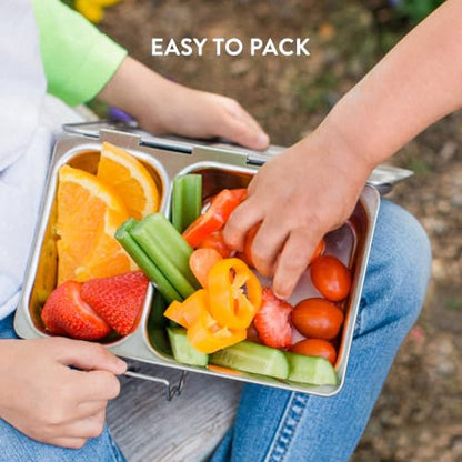 PlanetBox Recycled Shuttle Stainless Steel Lunch Box for Kids and Adults - Replacement Lunchbox Only, Brushed Finish, Sustainable Bento Box - size: 2 Compartments