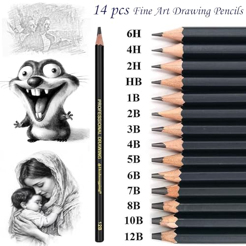 Heshengping Drawing Sketch Pencil Set 14pcs Sketching Pencils 12B 10B 8B 7B 6B 5B 4B 3B 2B B HB 2H 4H 6H Graphite Pencils for Kid Adults Artists Student Beginners Professional - color: Style3