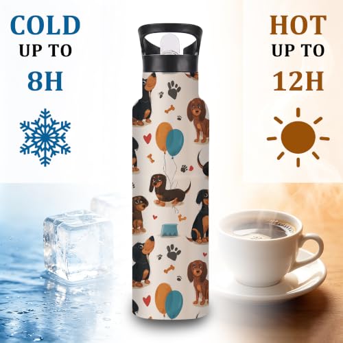 Insulated Water Bottle,Dachshund Dog 20 oz Stainless Steel Water Bottles with Straw Lid,Paw Print Leak Resistant Double Insulated Flask with Handle,Fits Cup Holder,Keeps Drinks Cold - color: Dachshund Dog,Paw Print