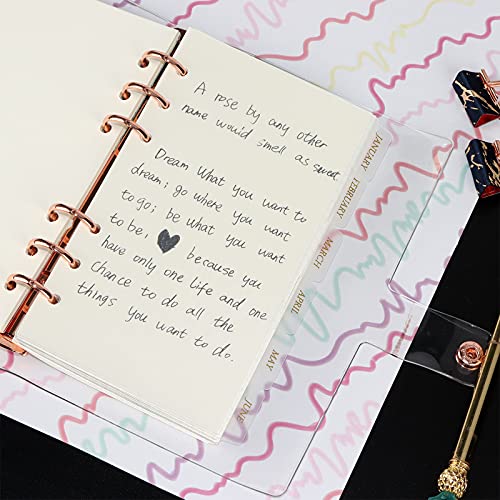 Koqye 12PCS Personal Binder Dividers with 6 Blank Tabs & Planner Stickers | 3.75" x 6.75", Plastic Side Tab Dividers Refillable Page Protectors for 6-Ring Binders, Planner, Agenda - color: Clear - 2 Sets