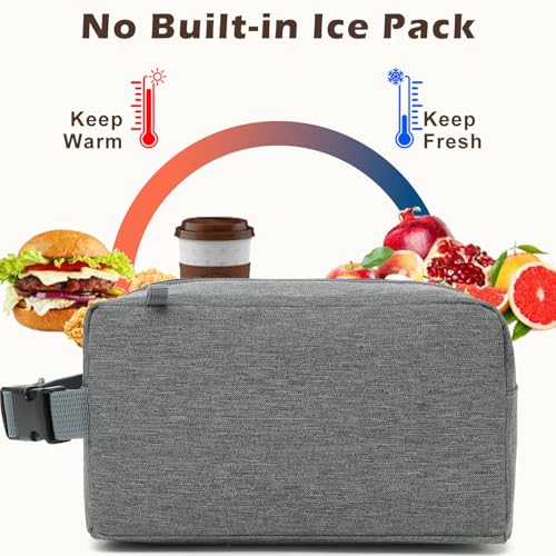 FlowFly Small Insulated Lunch box Portable Soft Bag Mini Cooler Thermal Meal Tote Kit with Buckle for Work, GreyWithBuckle - color: GreyWithBuckle