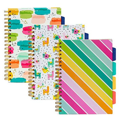 Pukka Pad, Carpe Diem 5-Subject Double Spiral Bound Notebook 3-Pack with Repositionable Dividers - 200 Pages of 80GSM Paper with Perforated Edges – Color Wash, B5 10 X 7in - color: Color Wash, style: Pack of 3