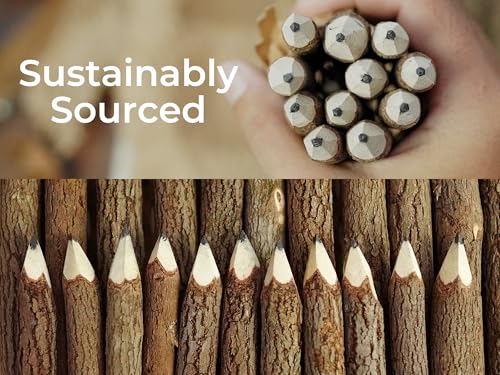 BSIRI Black 3 Inch Wood of 12 in Pack Tree Bark Pencil Favors in Wooden Rustic Twig Pencils Unique Camping Gifts Decorations Party Supplies Novelty Gifts Natural Kid - style: 3 Inch long