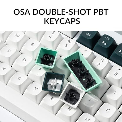 Keychron Q1 HE Wireless Custom Magnetic Keyboard, QMK Launcher | Rapid Trigger 2.4 GHz & Bluetooth 5.2 with Gateron Double-Rail Magnetic Switch for Mac Windows Linux (Hot-swappable) - White - color: White