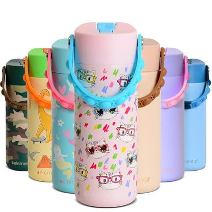 Elemental Insulated Kids Water Bottle, Stainless Steel Water Bottle with Straw Lid & Pop-It Handle, Leak-Proof Water Bottles for School, Boys or Girls, Travelling and Sports, 18oz - Stylish Cat - color: Stylish Cat
