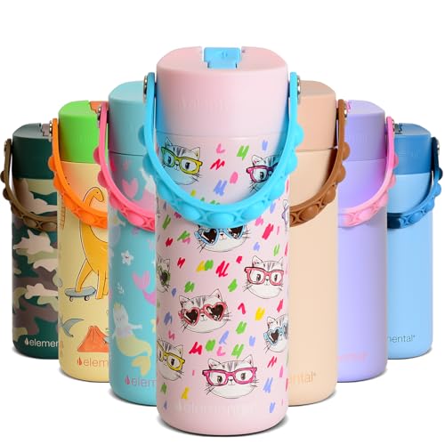 Elemental Insulated Kids Water Bottle, Stainless Steel Water Bottle with Straw Lid & Pop-It Handle, Leak-Proof Water Bottles for School, Boys or Girls, Travelling and Sports, 18oz - Stylish Cat - color: Stylish Cat